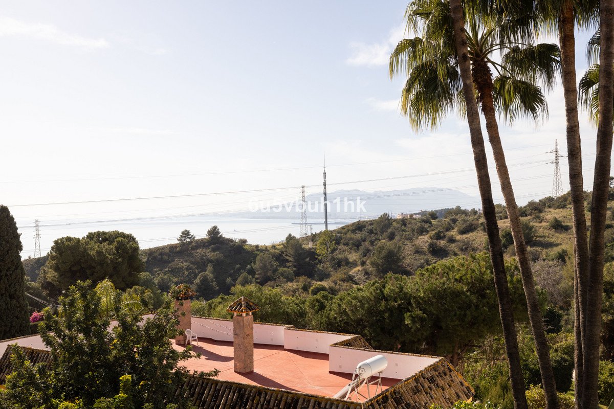 Rooftop terrace with palm trees and scenic hill view