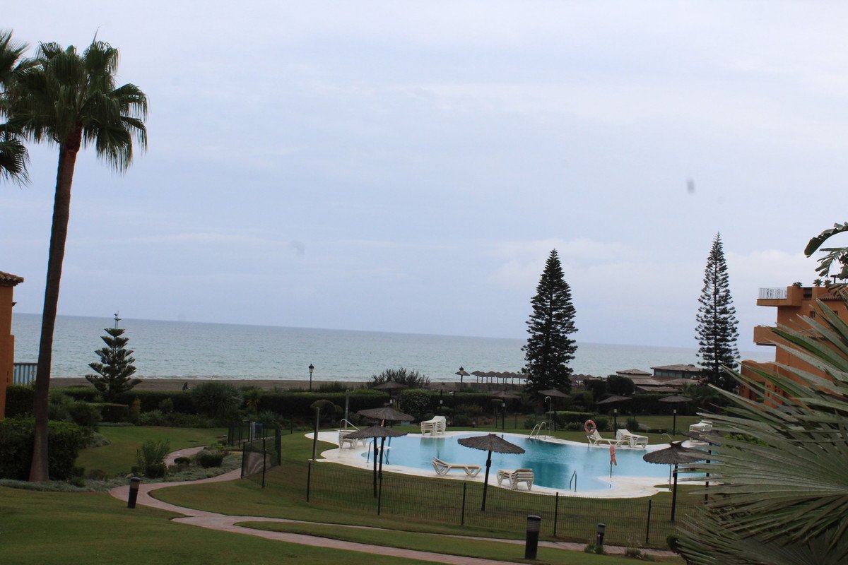 Resort complex with a swimming pool and sun loungers, overlooking the sea with palm trees and lush gardens.