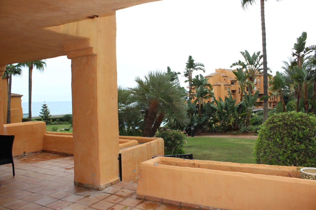 Terrace view overlooking the sea, tropical garden with palm trees and an orange building in the background.