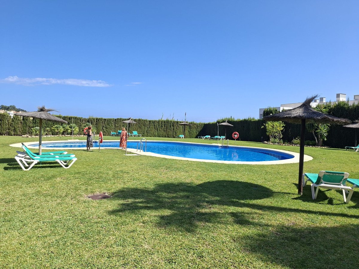 A bright, sunny day at a communal swimming pool with green grass, sun loungers, and umbrellas.
