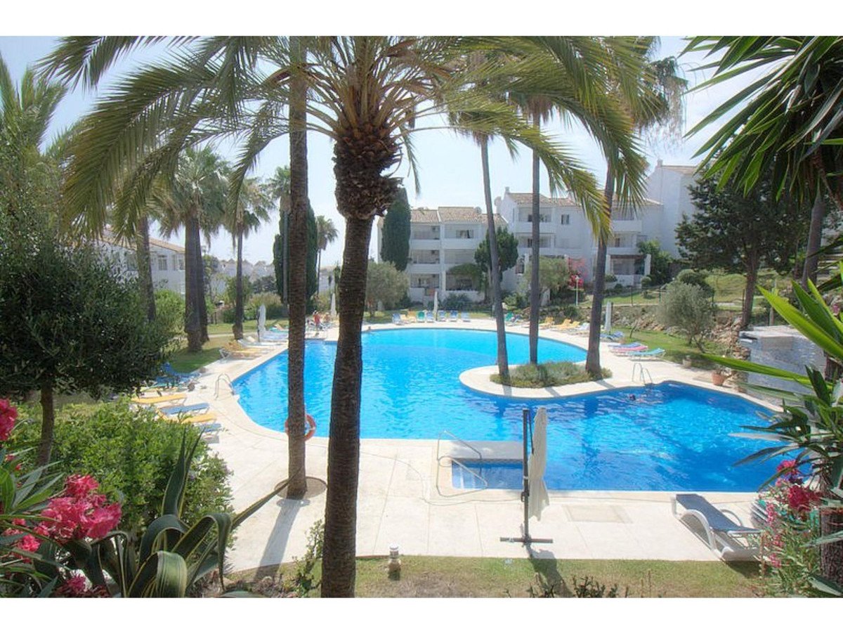 A large, bright blue swimming pool surrounded by palm trees and lounge chairs, with apartment buildings in the background.
