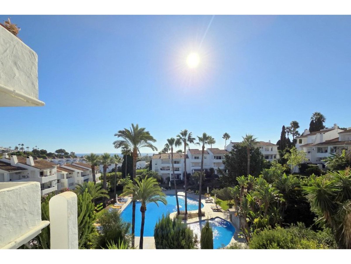 Balcony view overlooking a bright blue swimming pool and lush green palm trees under a sunny sky.