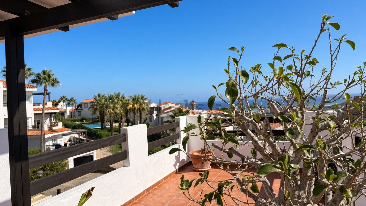 A terrace with terracotta tiles and a leafy plant, overlooking palm trees, houses, and the sea under a clear blue sky.