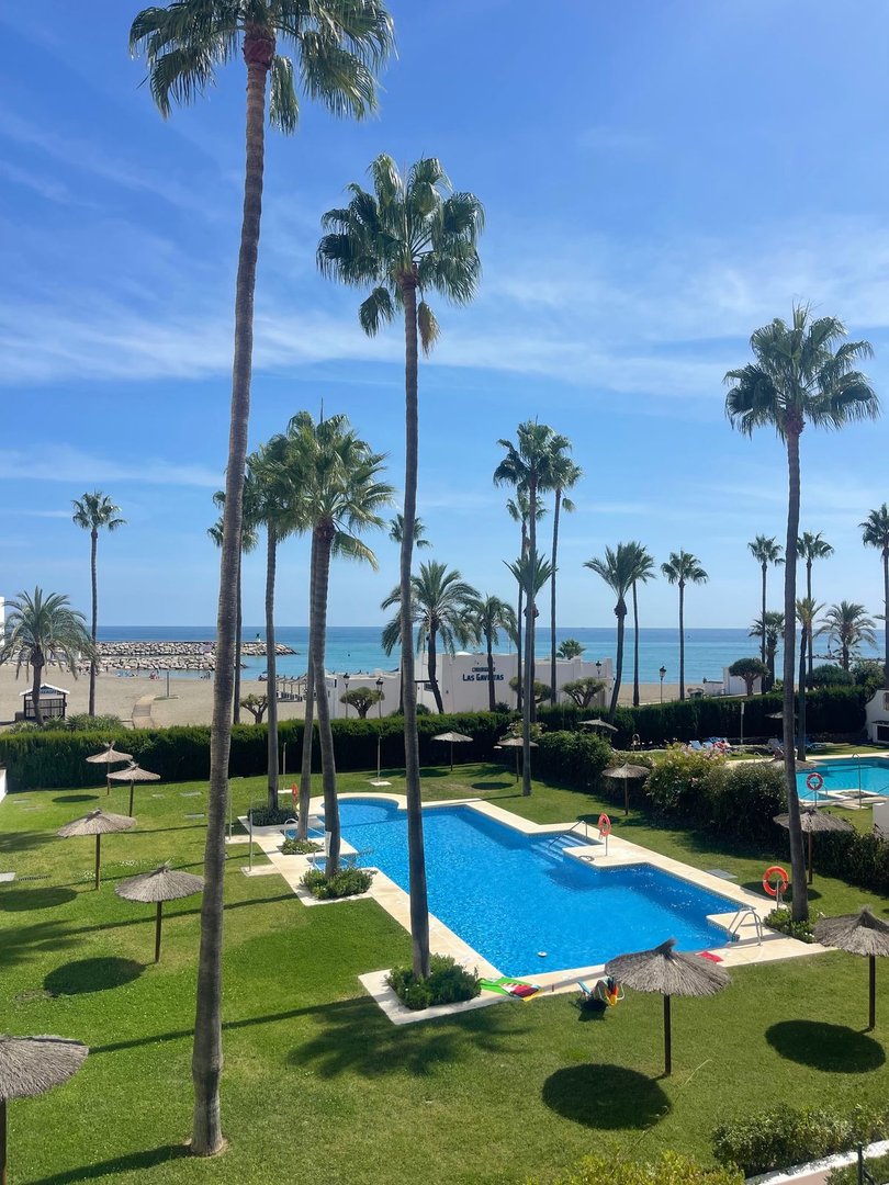 Sunny outdoor swimming pool area with palm trees, lounge chairs, and a view of the beach and ocean.