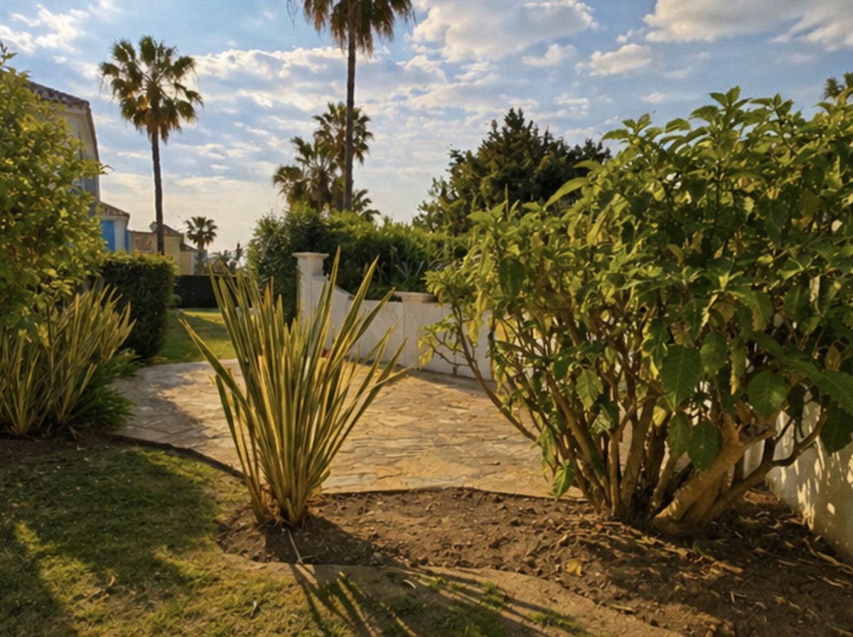 06 photo