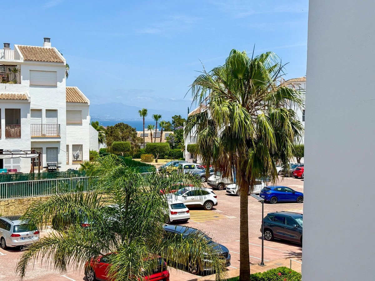 Wohnungsblick mit Palmen, Parkplatz und Meer in der Ferne unter blauem Himmel.