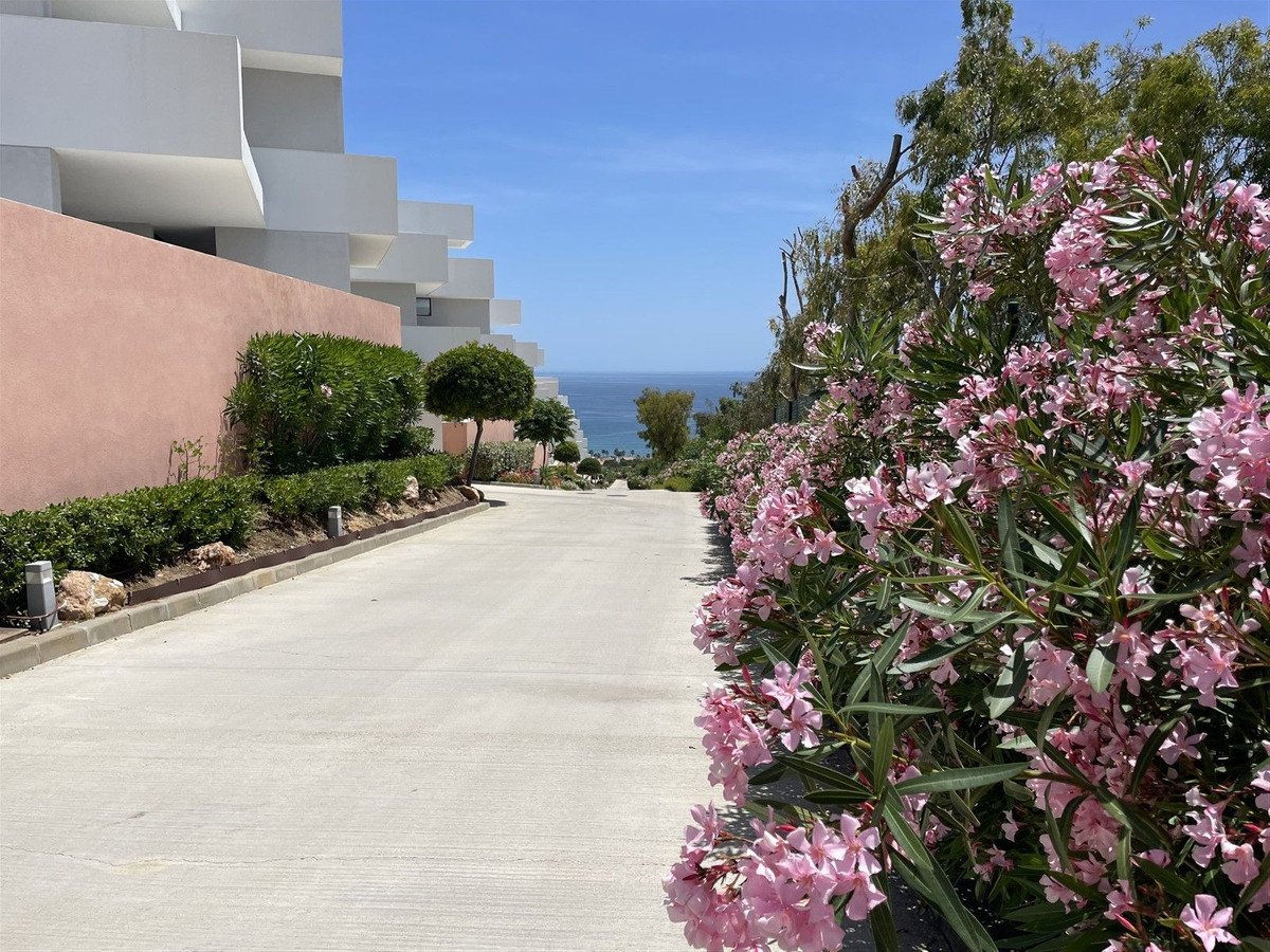 Pathway leading towards the sea, lined with blooming pink flowers and modern architecture.