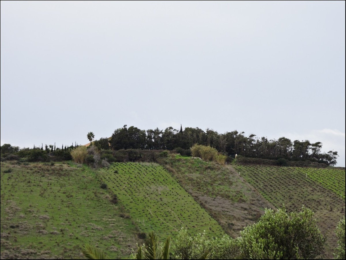 2 Bed Finca - Cortijo in Manilva in Manilva, Finca - Cortijo
