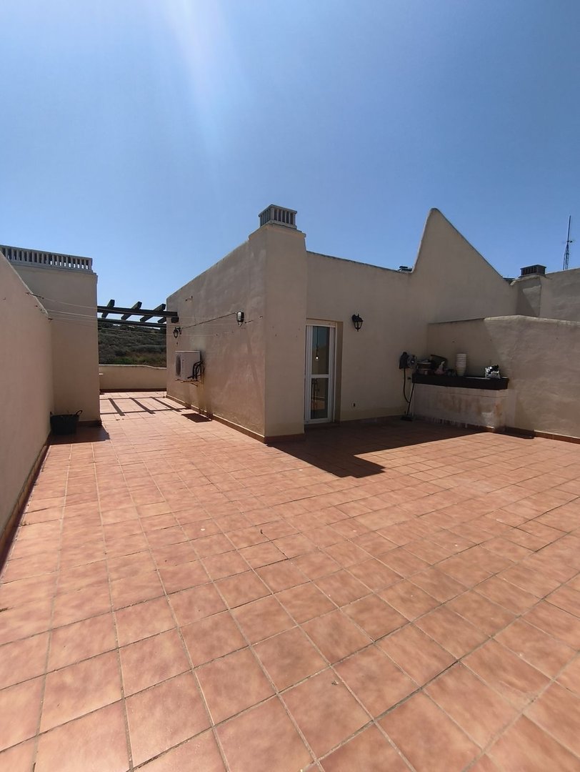 Sunlit rooftop terrace with beige walls and terracotta tiles