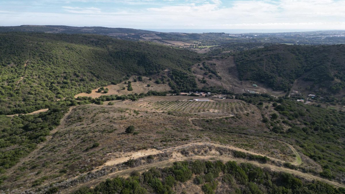 An aerial view of rolling green hills with a farmland area featuring rows of trees and scattered buildings.