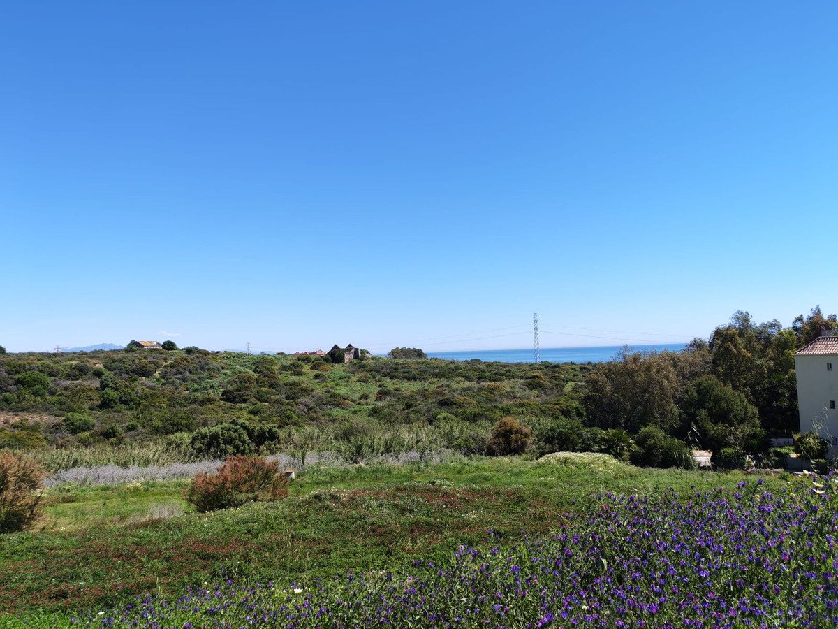 04 photo