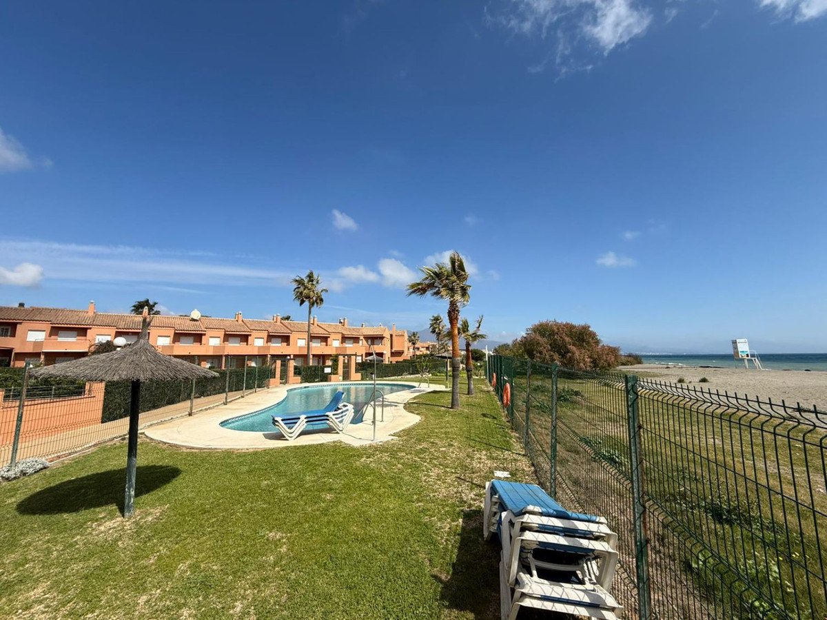 Beach view swimming pool with lounge chairs and palm trees