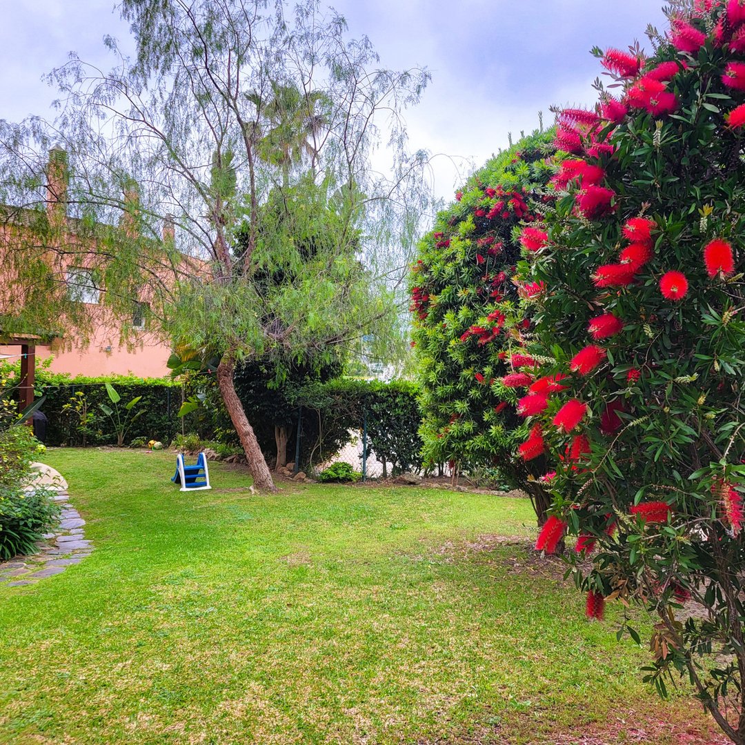 Lush garden with vibrant red flowers, green lawn, and a tree, perfect for relaxation.