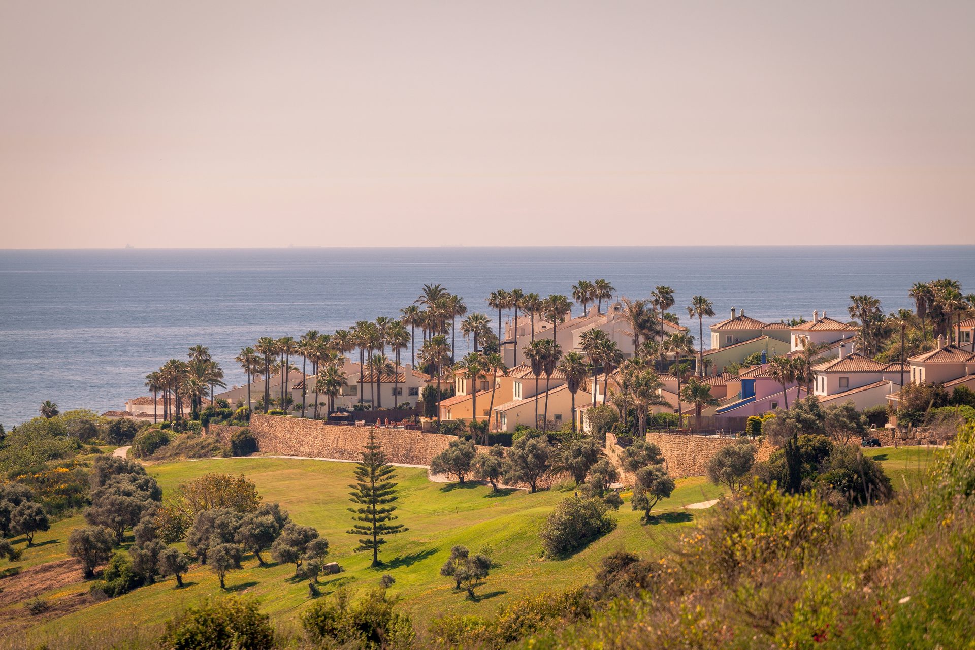 Houses Palms Sea View Hilly