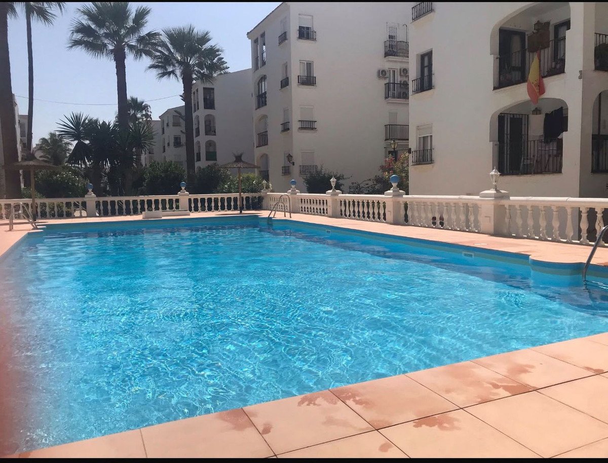 Bright blue swimming pool with palm trees and white buildings in the background on a sunny day.