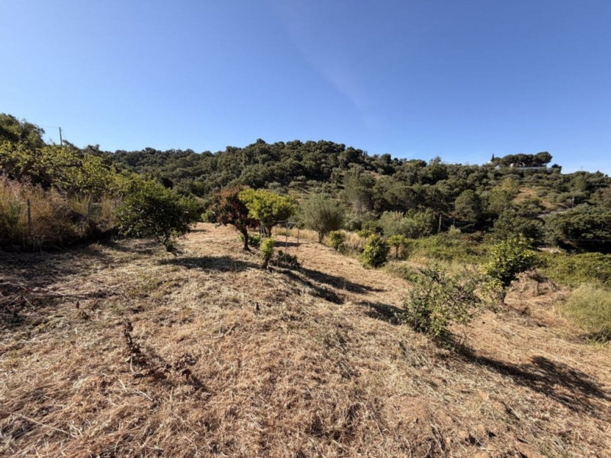 1 Bed Finca - Cortijo in Altos de los Monteros in Altos de los Monteros, Finca - Cortijo