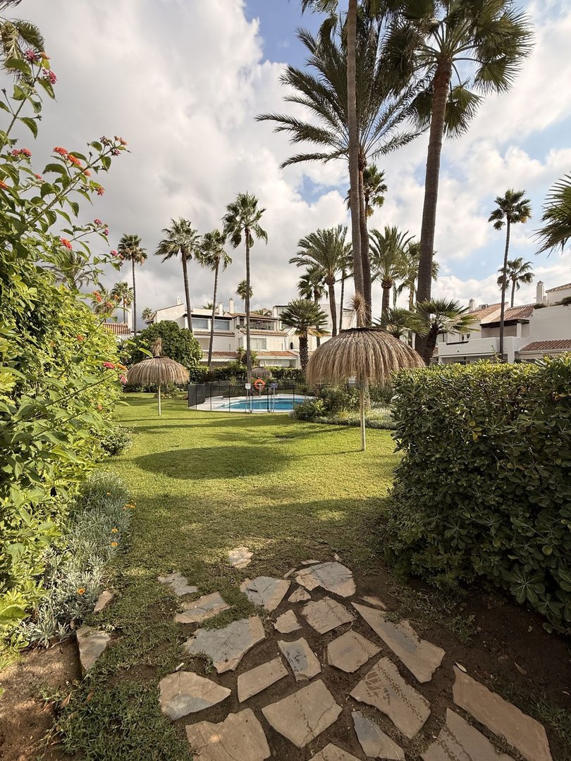 Tropical garden with a swimming pool, palm trees, and lush greenery. Stone path leads to the pool area.