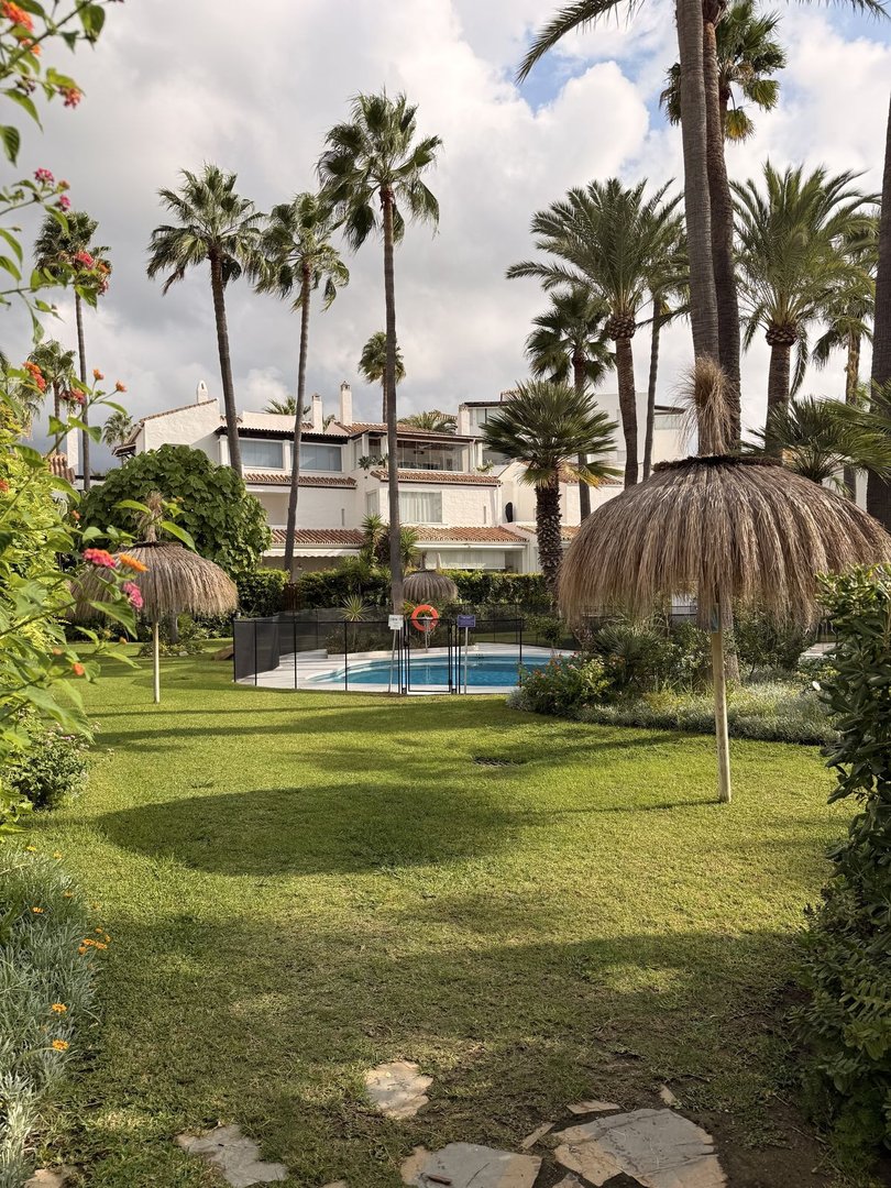 Lush green lawn with a swimming pool surrounded by palm trees and tropical foliage, leading to white buildings.