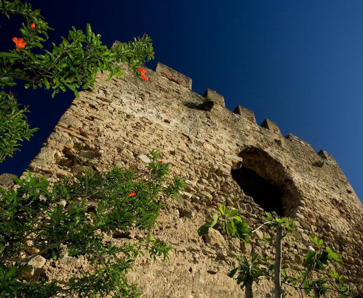 22 photo