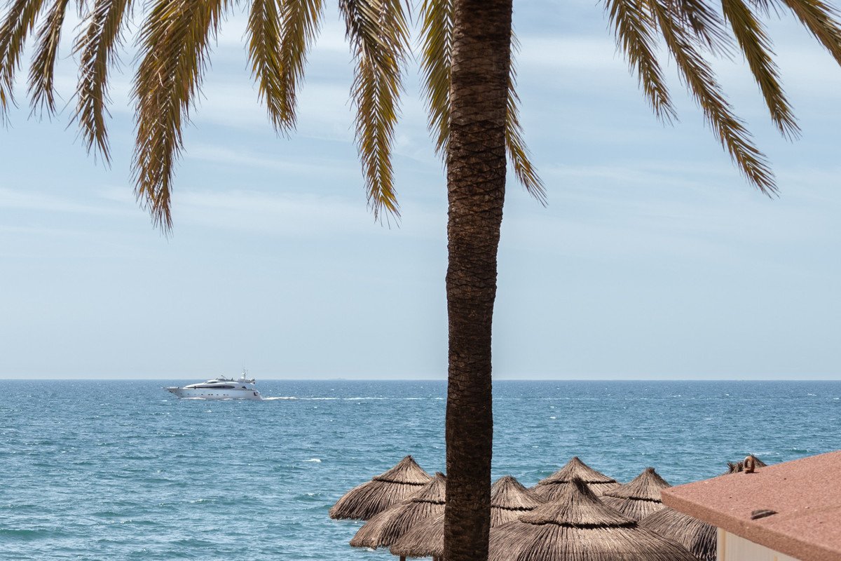 Ocean view with palm tree and yacht in the distance