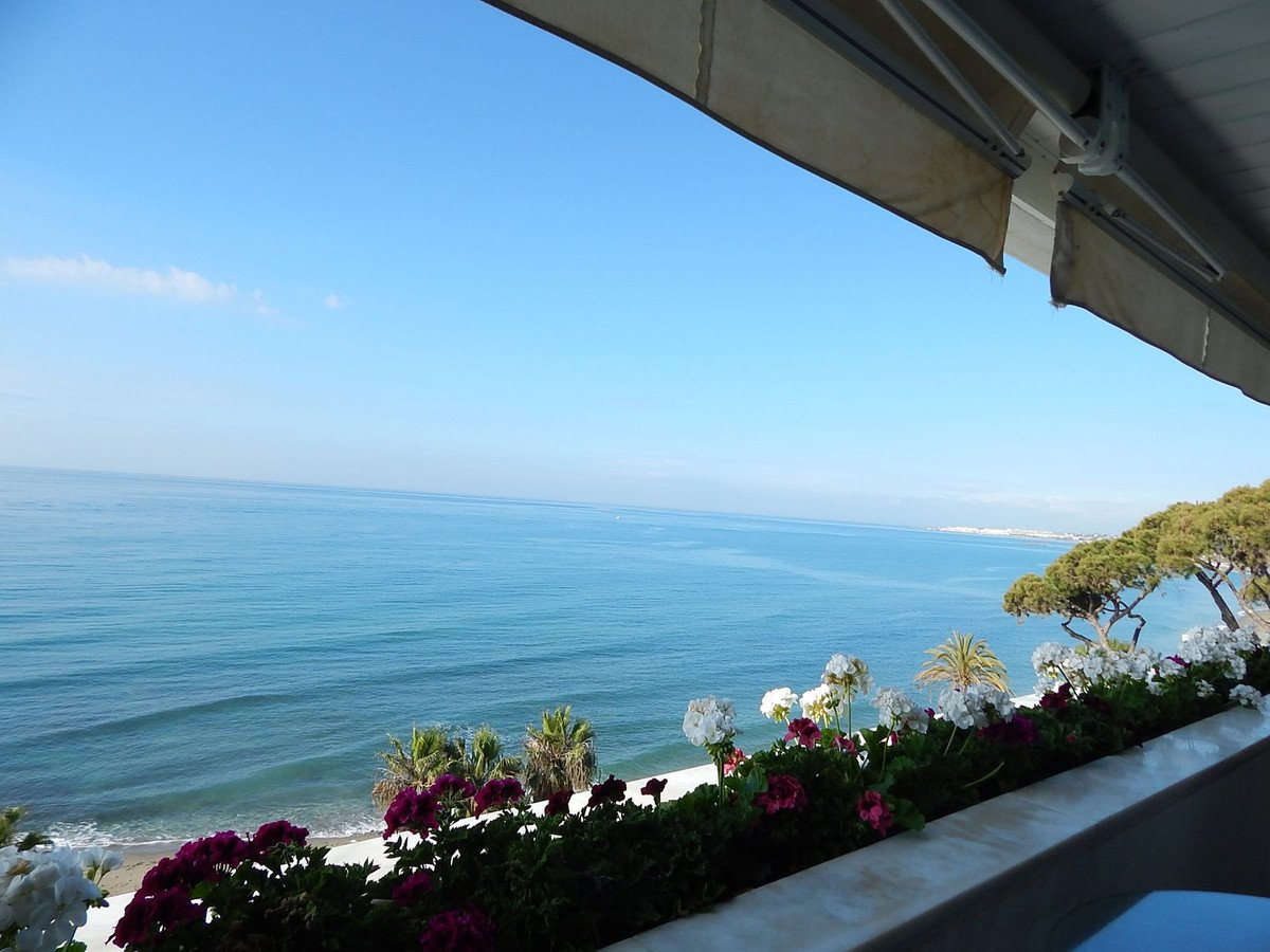 A beautiful balcony view of the sea with flowers and palm trees in front, under a clear blue sky.