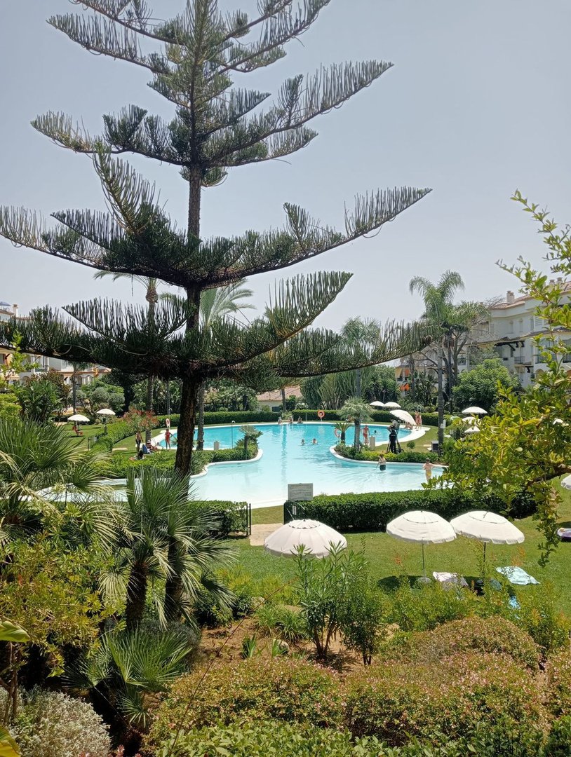 Resort-style swimming pool surrounded by lush greenery and palm trees, with people swimming and relaxing under umbrellas.