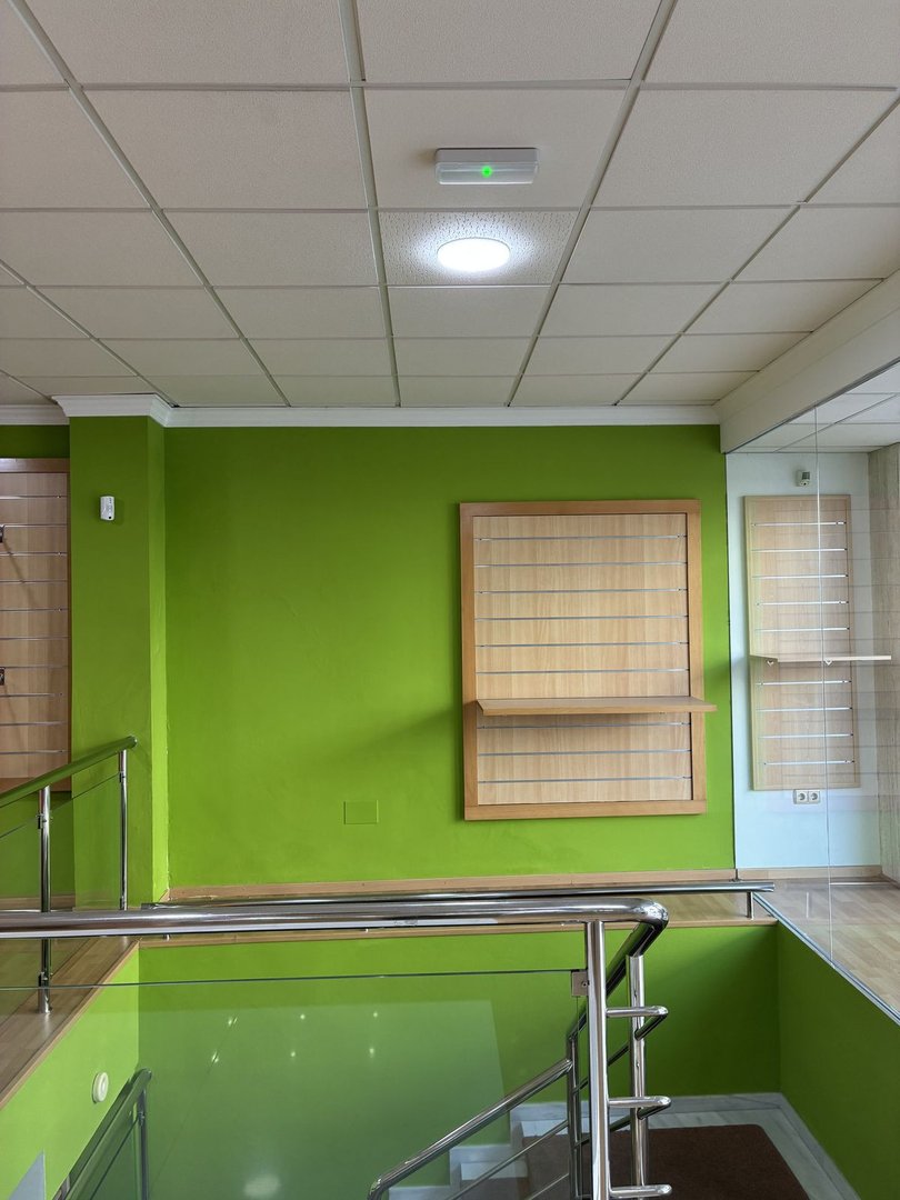 Modern interior with bright green walls, a suspended ceiling with lighting, and metal railings for stairs.
