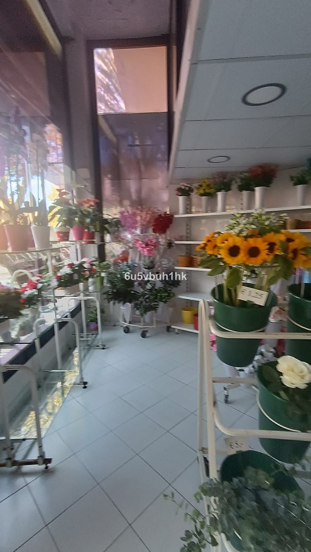 04 photo