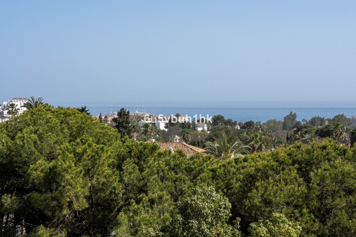 A panoramic view of the sea behind lush green trees, with white buildings and rooftops visible in the distance under a clear sky.