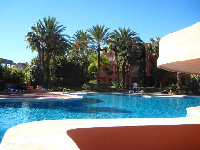 A large, blue swimming pool surrounded by palm trees and resort buildings under a clear blue sky.