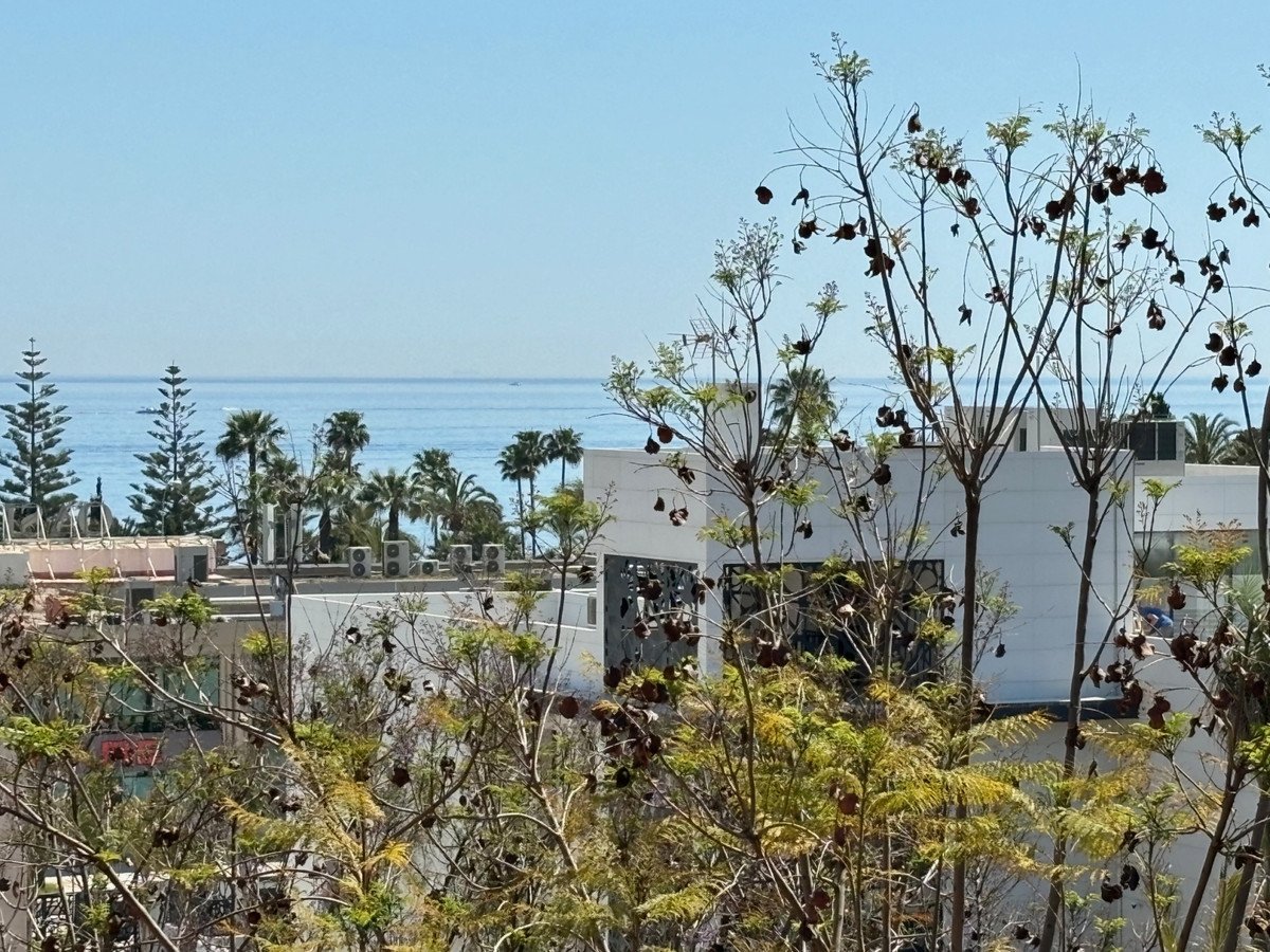View of the sea through trees and modern buildings, with palm trees in the background under a clear blue sky.