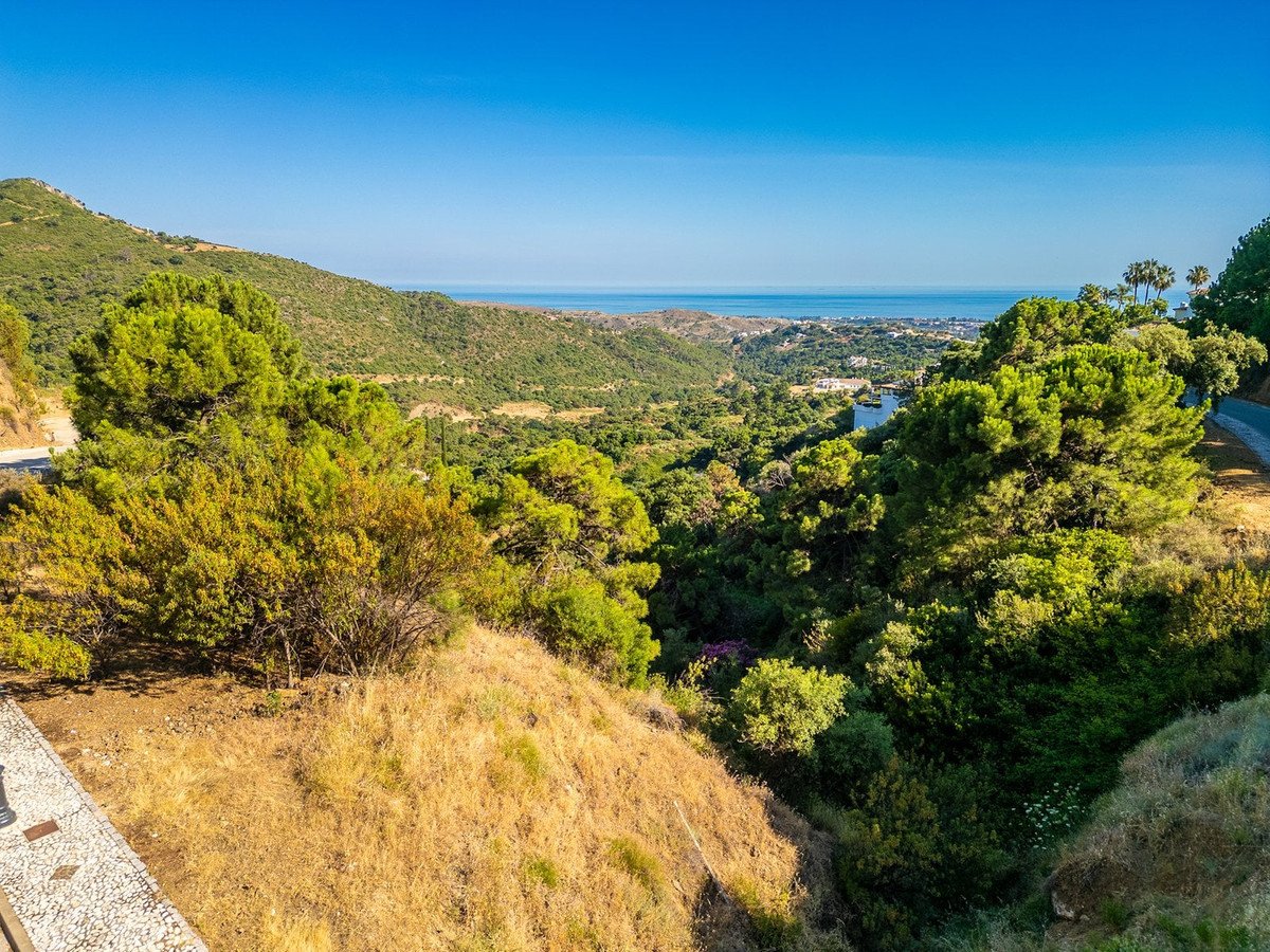 Expansive view of rolling hills covered in lush green trees, overlooking a distant town and the blue sea under a clear sky.