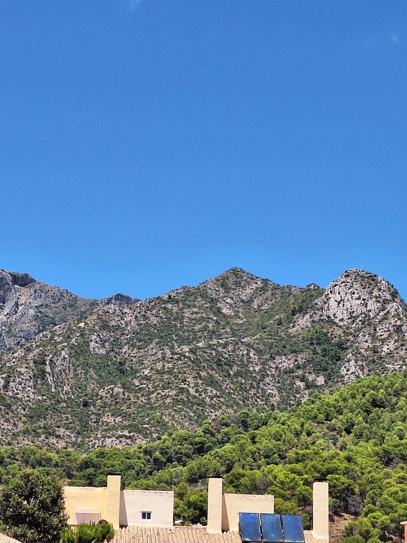 A clear blue sky above houses with solar panels and a dense green forest leading up to rugged mountains.