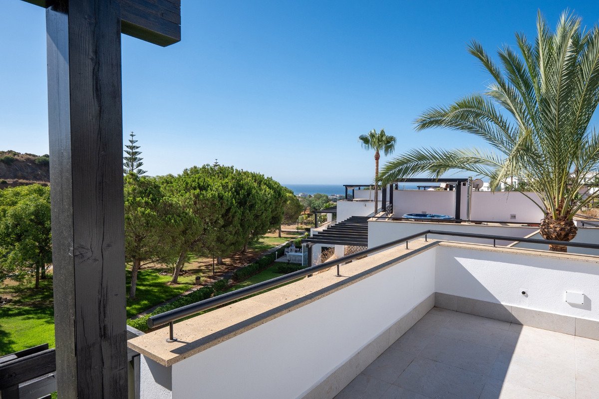 Balcony with palm tree and scenic sea view