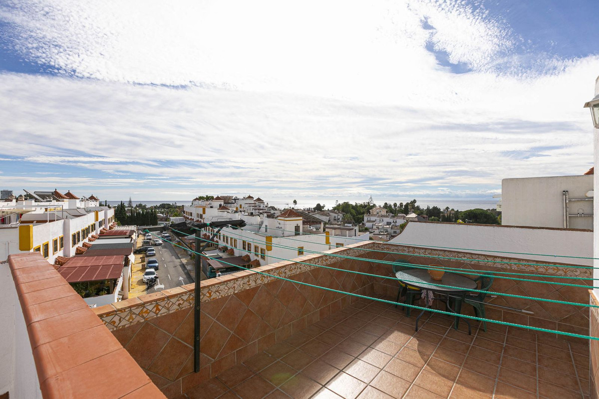 41 photo