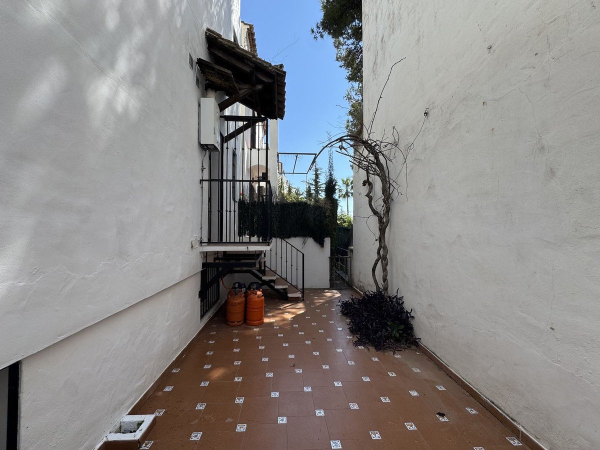 White-walled terrace with gas cylinders and climbing plant