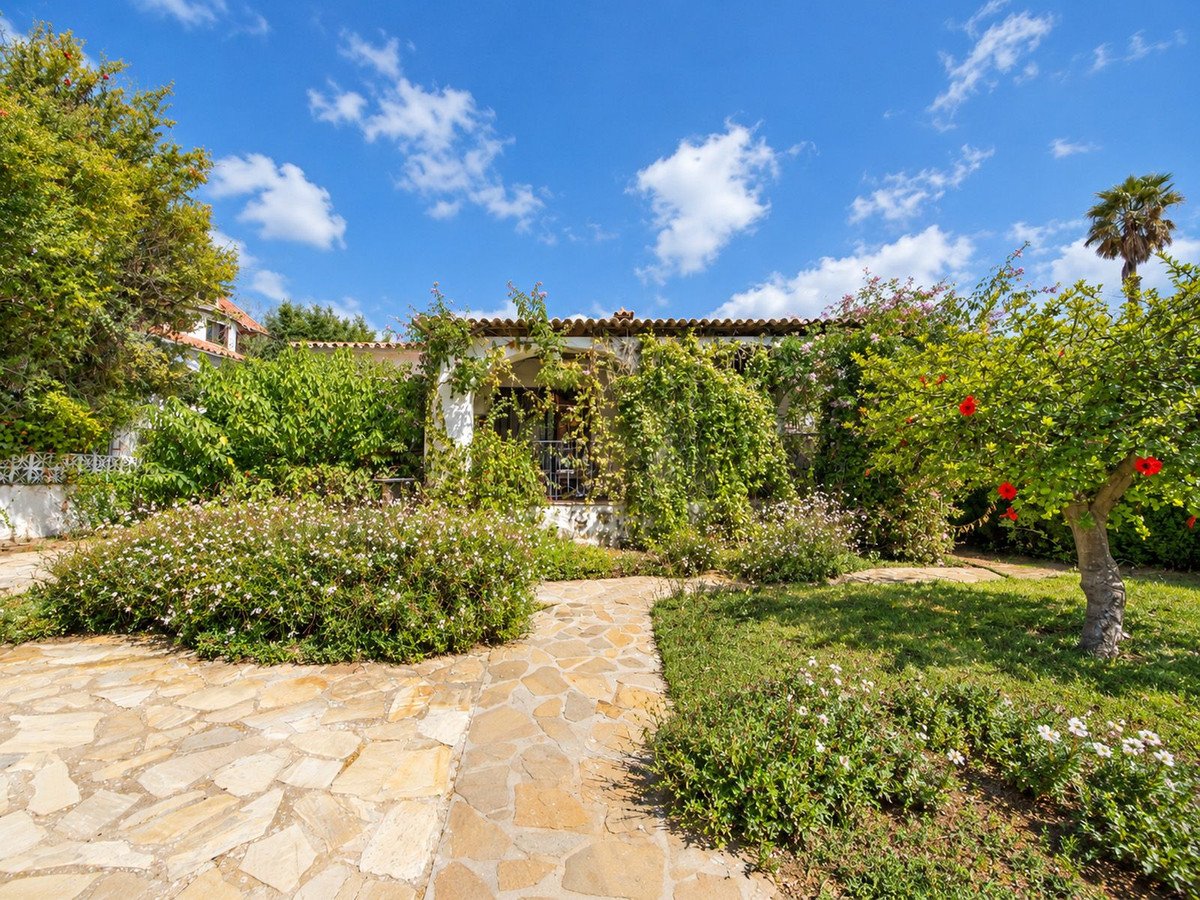 A stone pathway leads through a lush green garden with blooming flowers and trees, towards a vine-covered house under a blue sky.