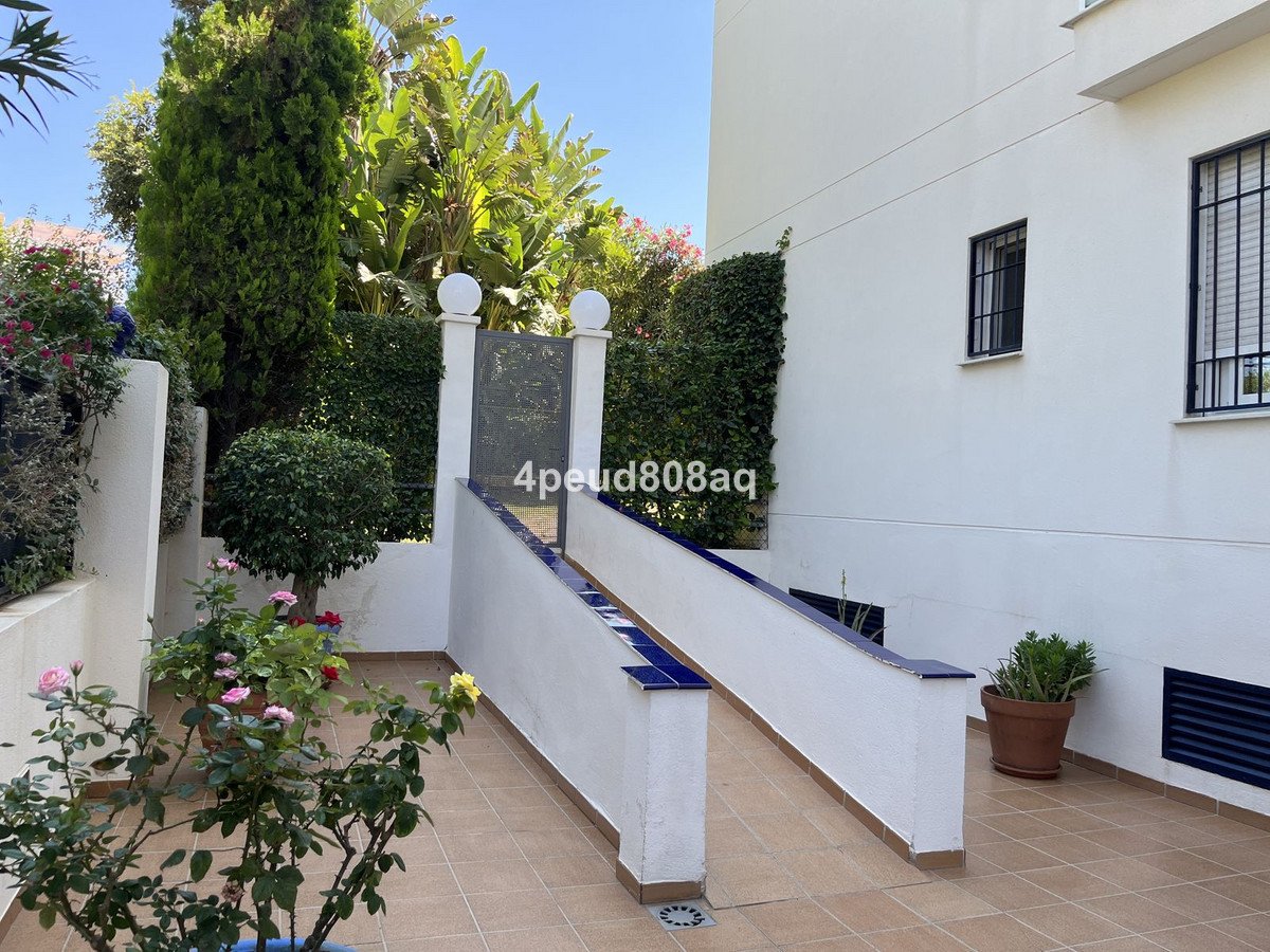 Exterior terrace with potted roses, decorative gate, and lush green plants under a clear blue sky.