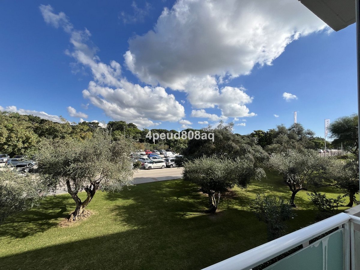 View from a balcony overlooking olive trees, a grassy lawn, and a parking lot under a cloudy blue sky.