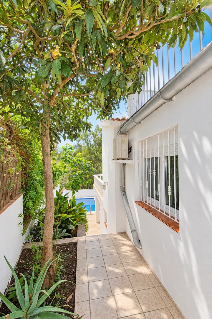 Tiled pathway leading towards a blue swimming pool, flanked by lush greenery and a mature tree. A window with bars is visible on the white wall.