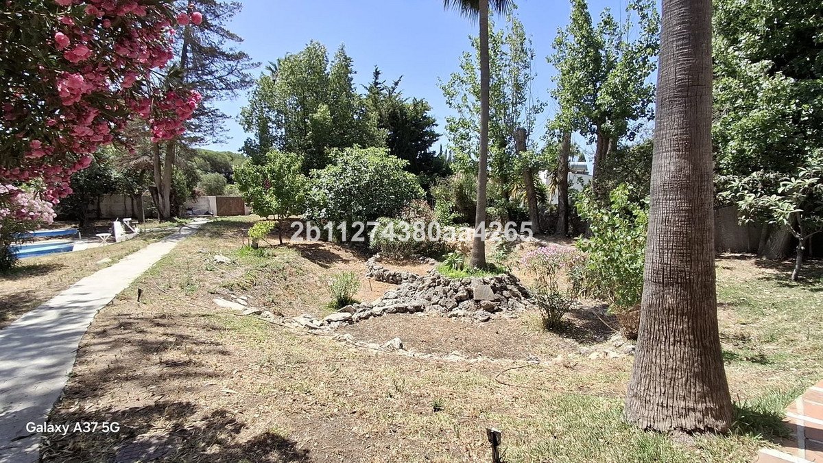 04 photo
