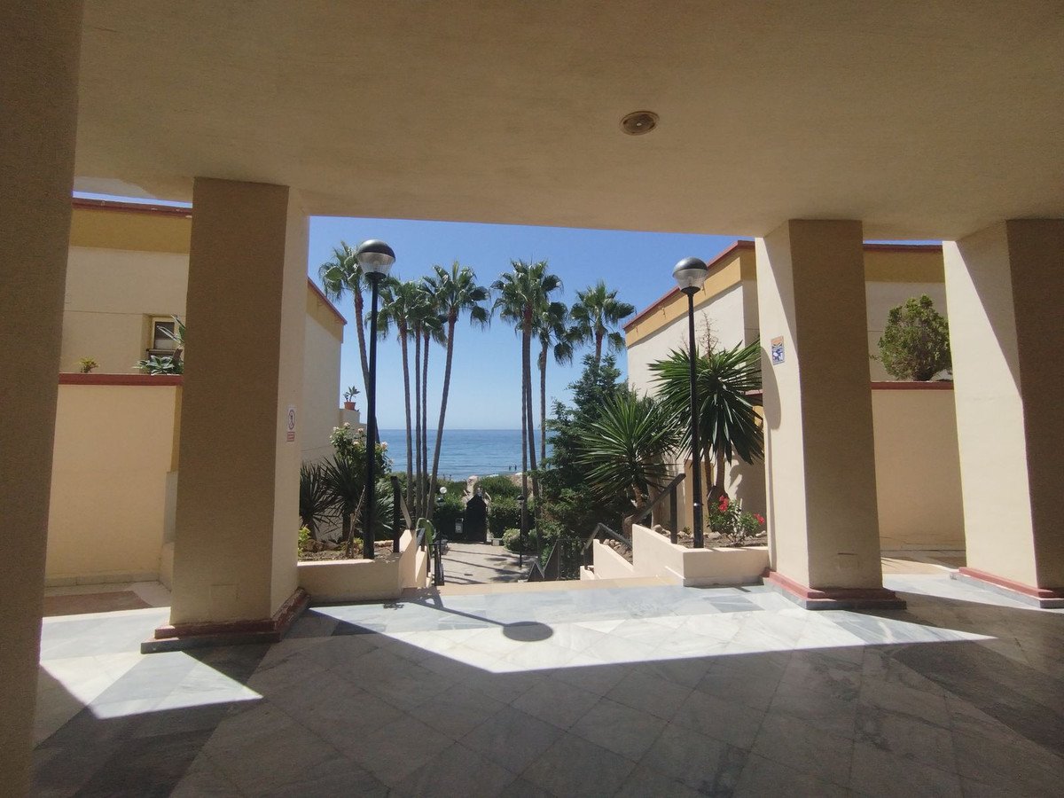 Pathway with palm trees leading to the sea and beach under a clear blue sky.