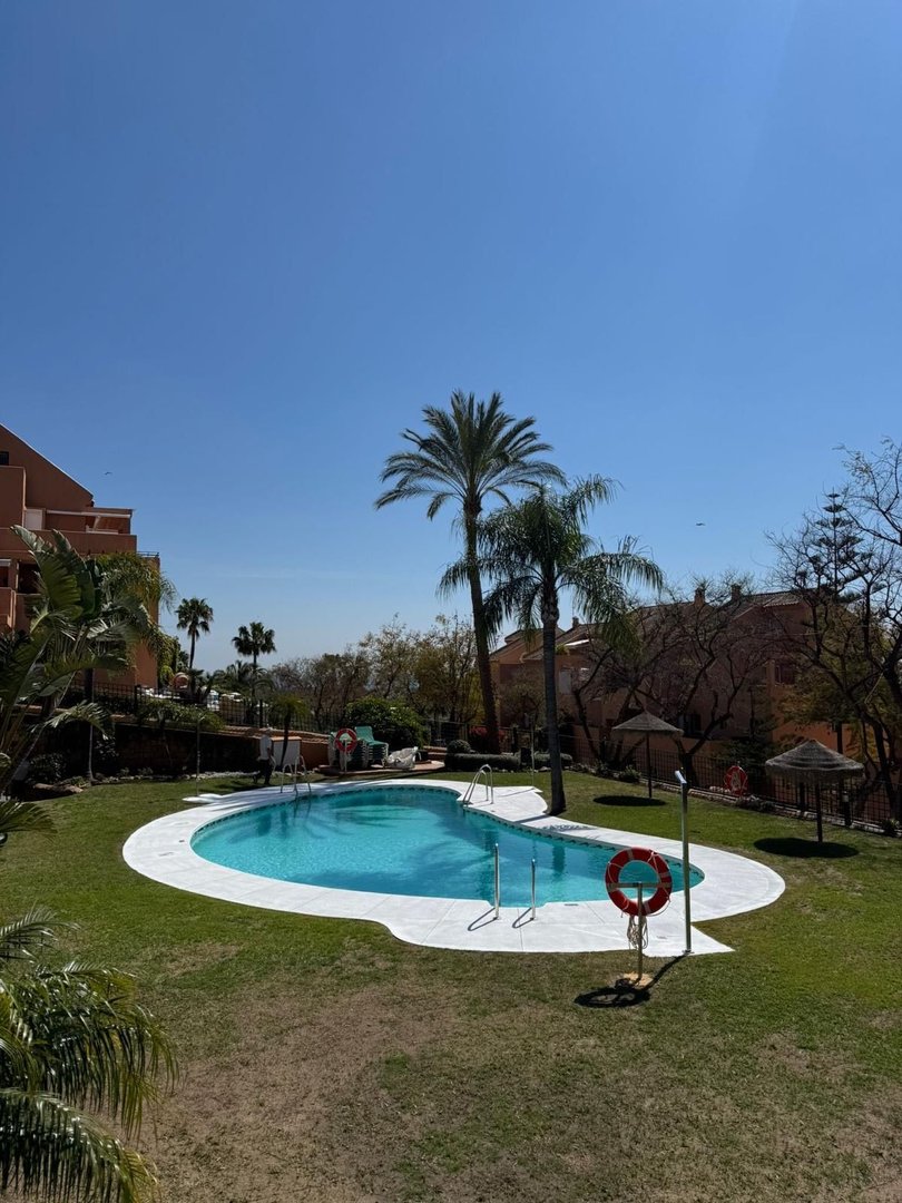 Outdoor swimming pool with palm trees and clear blue sky