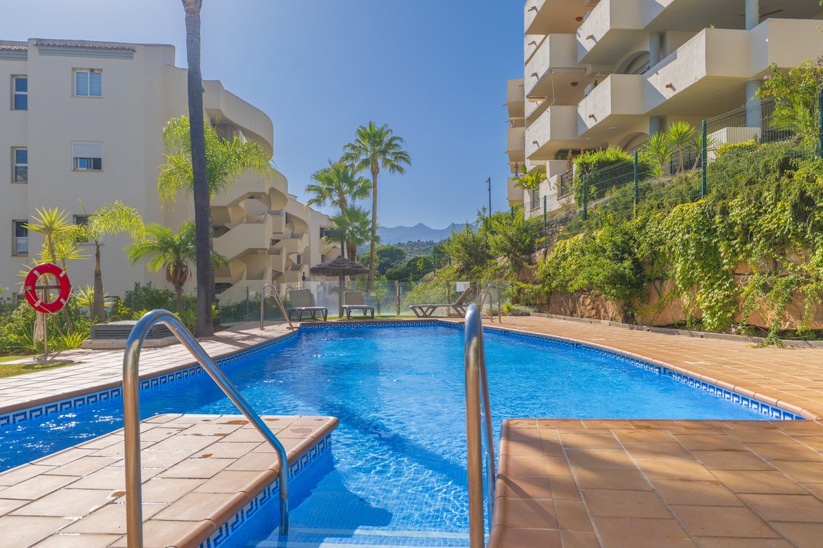 A bright blue swimming pool with palm trees and apartment buildings in the background under a clear blue sky.