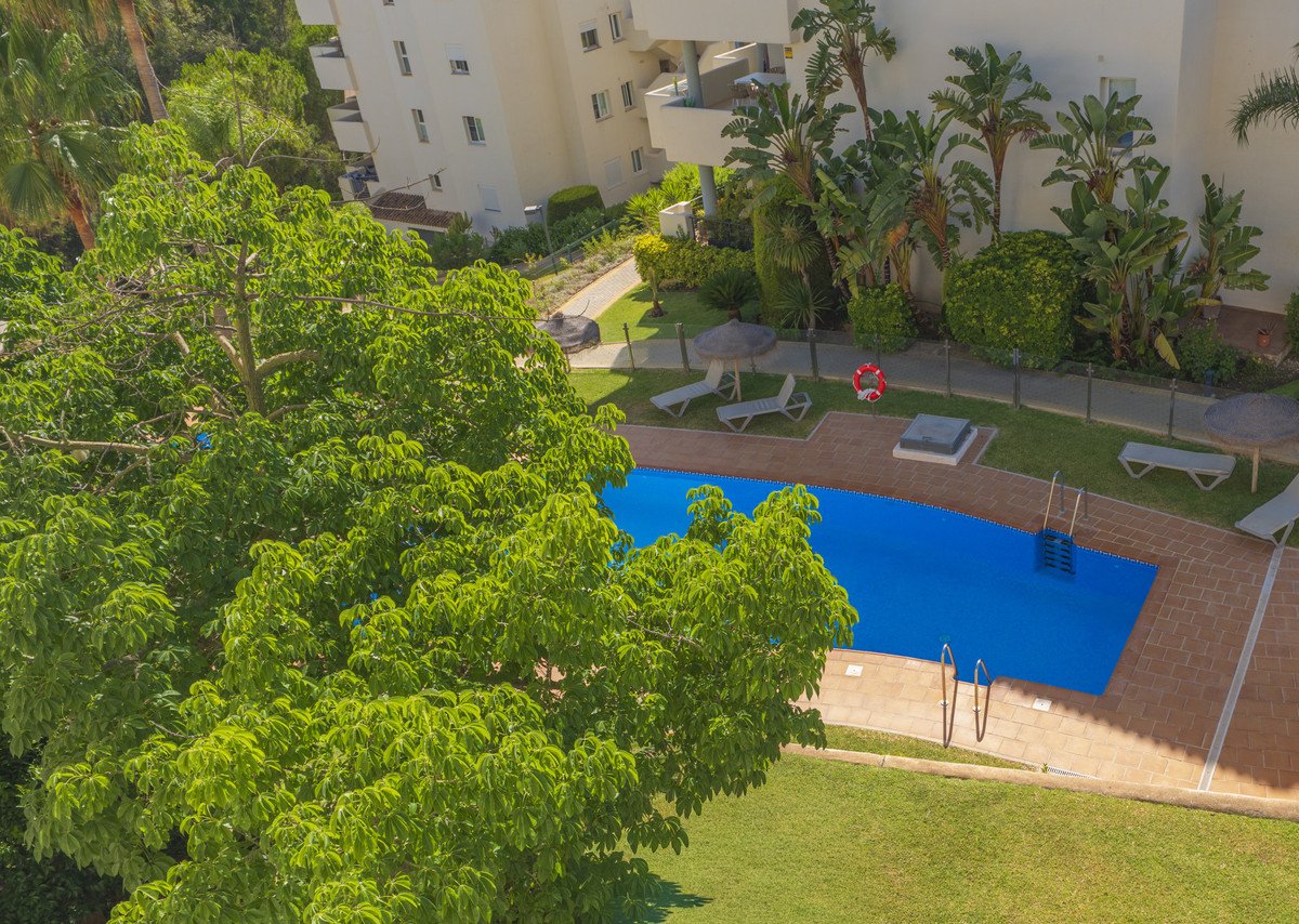 Aerial view of a bright blue swimming pool surrounded by lush green trees and manicured gardens, with sun loungers nearby.