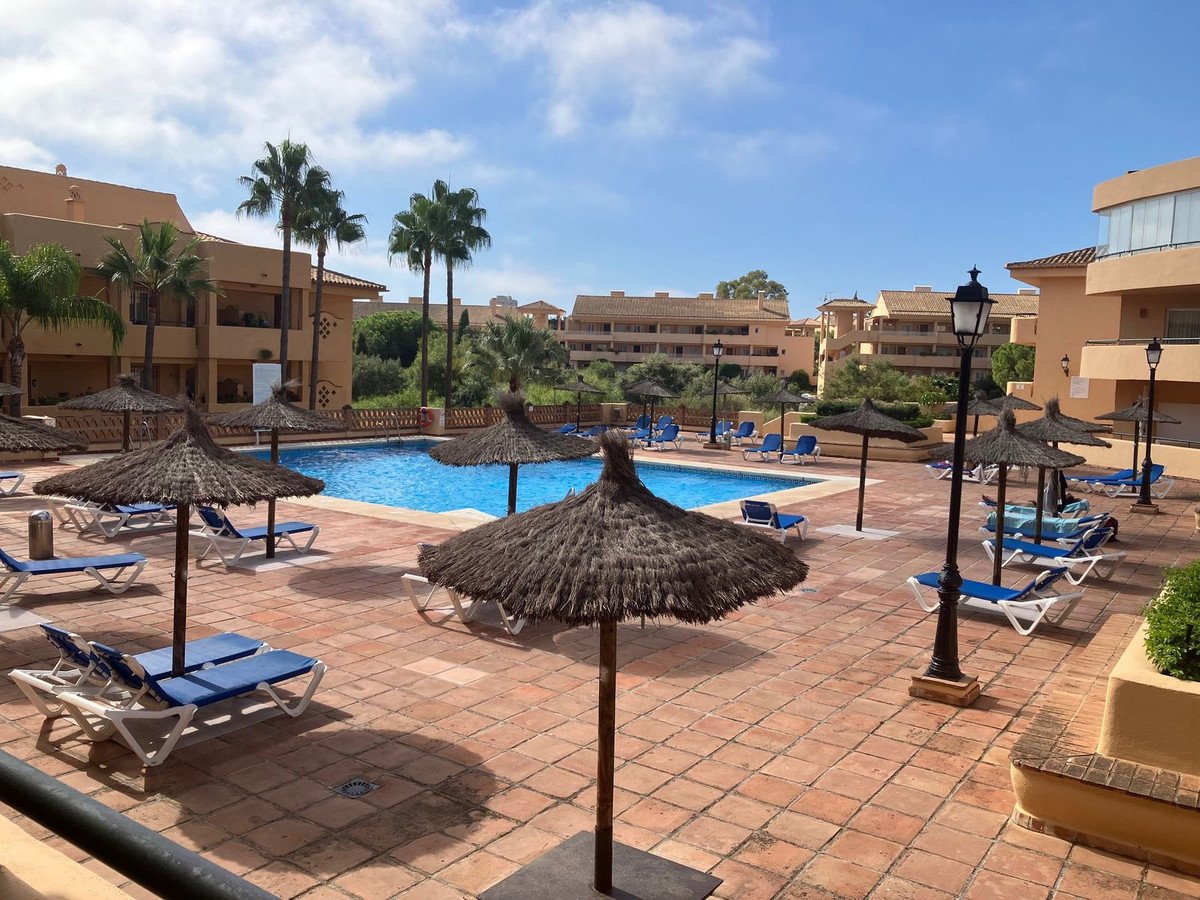 Outdoor swimming pool area with thatched umbrellas, lounge chairs, and palm trees under a blue sky.
