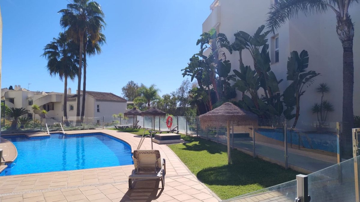 A sunny outdoor swimming pool area with palm trees, lush grass, and lounge chairs.
