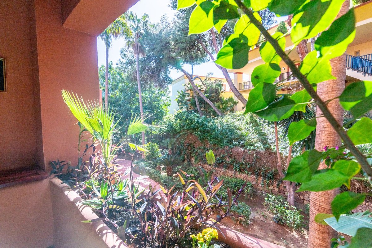 View from a balcony overlooking a lush tropical garden with palm trees and vegetation.