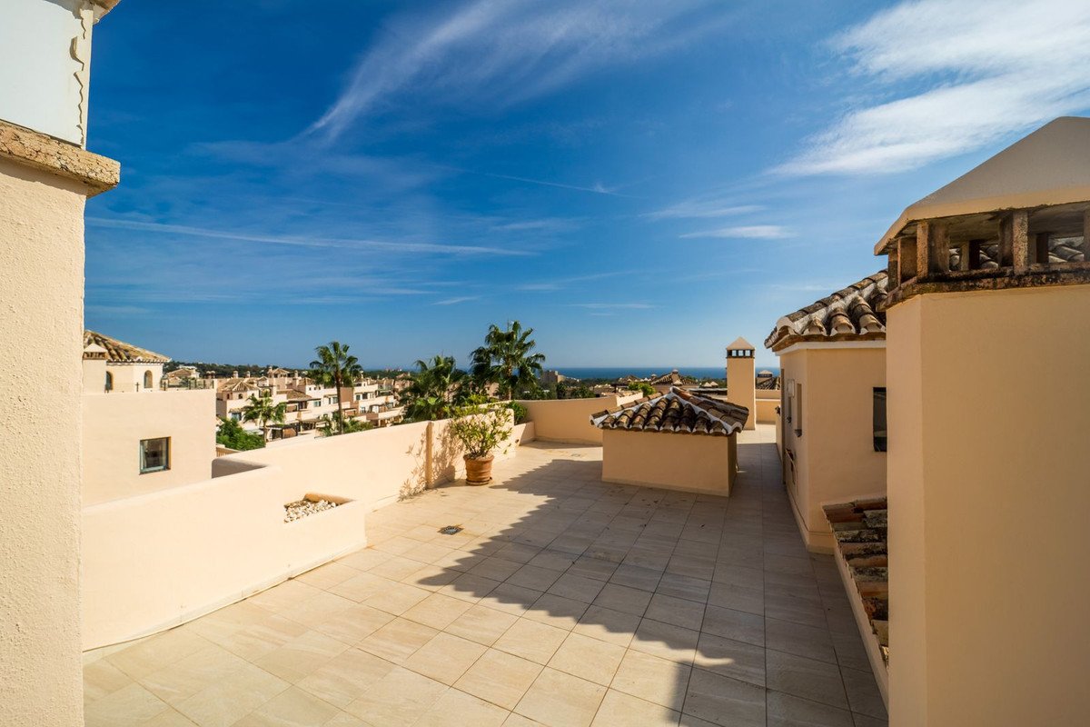 Spacious terrace with a sea and town view, featuring palm trees and tiled flooring under a blue sky.