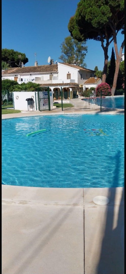 A sunny view of a bright blue community swimming pool with houses and trees in the background.